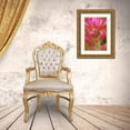 thumbnail image 3 of Flaherty, Dennis 23x32 Gold Ornate Wood Framed with Double Matting Museum Art Print Titled - CA, Indian paintbrush in the Great Basin Desert, 3 of 4