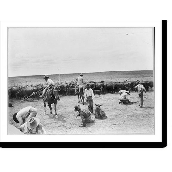 Historic Print, Branding on the XIT [ranch in Texas], 16" x 20"