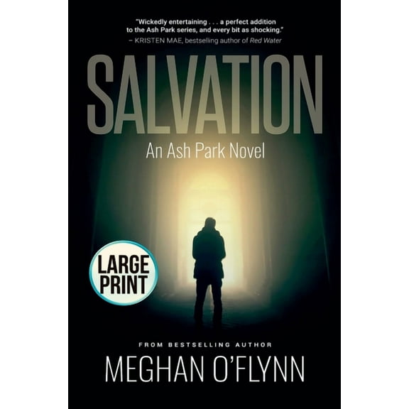 Ash Park Salvation: Large Print, Book 1, (Paperback)