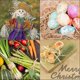 thumbnail image 5 of Natural Raffia Ribbon For Gift Wrap Florist Bouquet Weave Garden Use Bundle Plants (3 Bunches 150g), 5 of 5