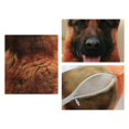 thumbnail image 2 of Adorable Jeter Coussins Partie Favorise Chiot Forme Confortable Poupée Animale, 2 of 2