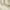 Khaki, variant on Keasmto Womens Shorts Summer Drawstring Casual Elastic Waist High Rise Lightweight Plus Size with Pockets Khaki S