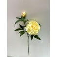 thumbnail image 1 of Mainstays Artificial Peony Long Stem, 1 of 5