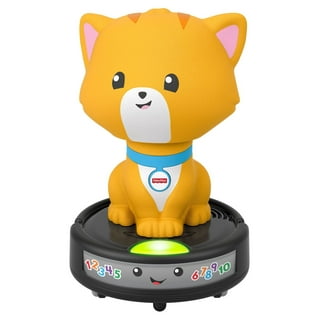 Fisher Crawl Through Toy