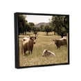 thumbnail image 2 of Stupell Industries Three Cattle Relaxing Grassland Pasture Rural Farm Trees Photograph Jet Black Floating Framed Canvas Print Wall Art, Design by Daphne Polselli, 2 of 5