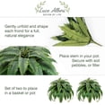 thumbnail image 7 of 2Pcs Artificial Cordyline Fruticosa Logs Tropcial Plant Fake Dracaena Tree for Indoor Outdoor Office Home Living Room Patio Greenery Porch Decor, 7 of 7