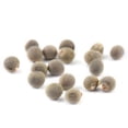 thumbnail image 1 of 5 paquetes de semillas de okra sin espinas Abelmoschus Moschatus Semillas de hortalizas para plantar, 1 of 7