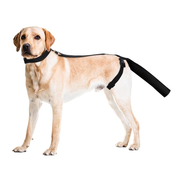 Dog Tail Protector for Wounds, Adjustable Dog Tail Protector Sleeve for Medium and Large Dogs, Anti Licking(L,Black)