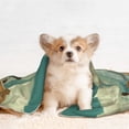 thumbnail image 4 of Pofeuu Serene Coastal Blue Sky Print Puppy Blanket,Dog Blankets,Pet Blanket Cozy Cat Blankets for Indoor Cats, Fuzzy Pet Blanket for Kitten Doggy Dog Blankets-Large, 4 of 8