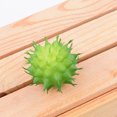 thumbnail image 1 of 10x Fake Succulents Small Vivid Useful Simulated Plants Multi-functional Lifelike Photo Props for Household Yards Lawn Flowerpot Type 1, 1 of 9