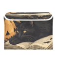thumbnail image 7 of Yayeee Collapsible Cube Storage Bin with Lid Fabric Closet Decorative Basket with Handles, Retro Halloween Cat, 7 of 7