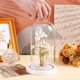thumbnail image 3 of Cúpula de cristal con base, campana de cristal, vitrina, cúpula de cristal, botella decorativa de cristal, 3 of 6