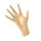 thumbnail image 5 of Soporte de joyería Soledad modelo de guantes de exhibición para decoración Color de piel, 5 of 10
