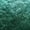 Forest, variant on Huntsville Brocade Velvet Fabric, 72 Inch in Width Ideal Embossed Material for Home Decor