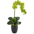 thumbnail image 4 of Nearly Natural 53in. Wheat Grain Artificial Plant in Decorative Planter, 4 of 4