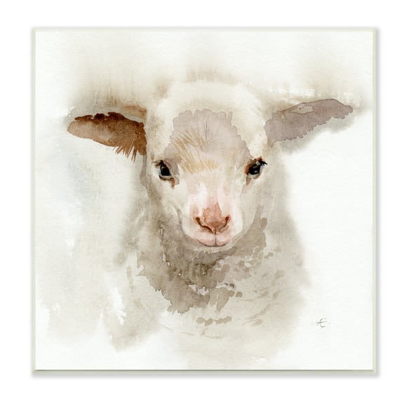 Stupell Industries Baby Lamb Farm Portrait Minimal Shaggy Animal Animals & Insects Painting Unframed Art Print Wall Art, 12 x 12