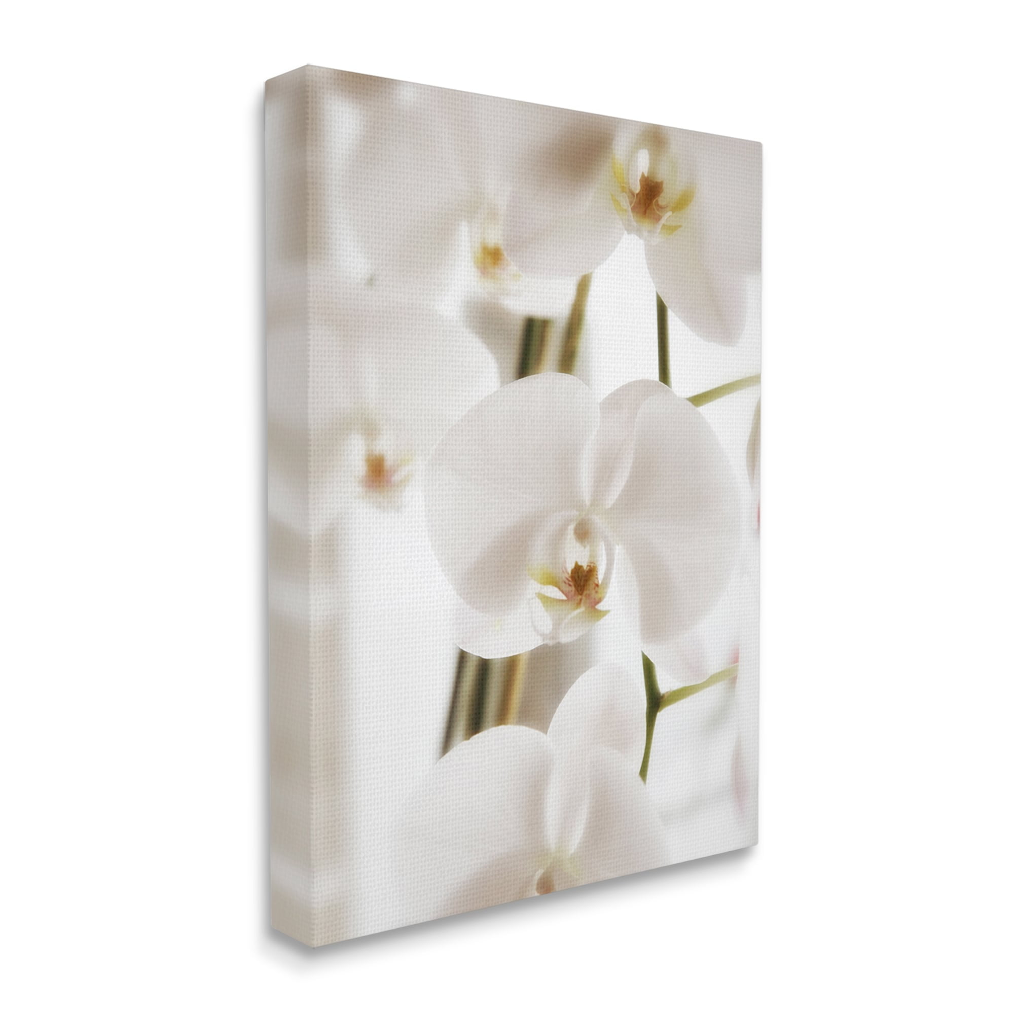 Stupell Elegant White Orchid Petals Botanical & Floral Photography Gallery Wrapped Canvas Print Wall Art