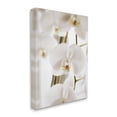 thumbnail image 2 of Stupell Elegant White Orchid Petals Botanical & Floral Photography Gallery Wrapped Canvas Print Wall Art, 2 of 5