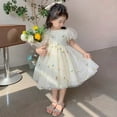 thumbnail image 2 of Gyratedream 1-6Y Toddler Little Girls Embroidered Puff Sleeve Lace Tulle Dress Tutu Princess Dresses, 2 of 6