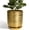 Gold, variant on 10 Inch Black Ceramic Planter with Drainage Hole – Large Round Flower Pot for Snake Plants, Monstera, Indoor Outdoor