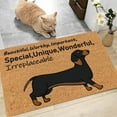 thumbnail image 3 of Coir Mat Door Mat Outdoor Mat for Entryway Outside Yard Home Decoration Door Mat - Novelty Designs Welcome Doormats Dachshund Coco Coir Outdoor Mat Natural Coir Doormat with Non-Slip Backing Sale, 3 of 6