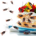 thumbnail image 2 of Juguetes para bromas falsas con cucarachas falsas, Ksquare, truco y broma, 100 unidades, 2 of 6