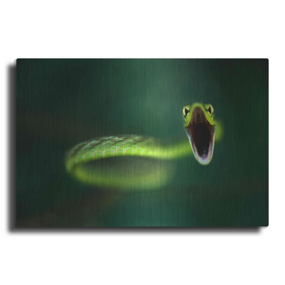Luxe Metal Art 'Vine Snake' by Thomas Haney, Metal Wall Art, 16"x12"