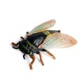 thumbnail image 5 of Juguete de insectos realista para niños, ideal como regalo de Halloween para fiestas infantiles., 5 of 5