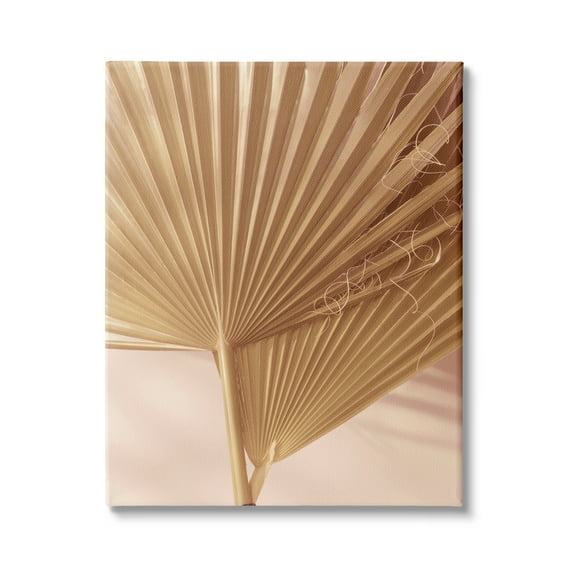 Stupell Industries Two Palm Fronds Sun Bleached Photography Tropical Plants, 24 x 30, Design by Ian Winstanley