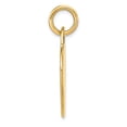 thumbnail image 2 of FB Jewels 14K Yellow Gold Heart Disc Charm, 2 of 3
