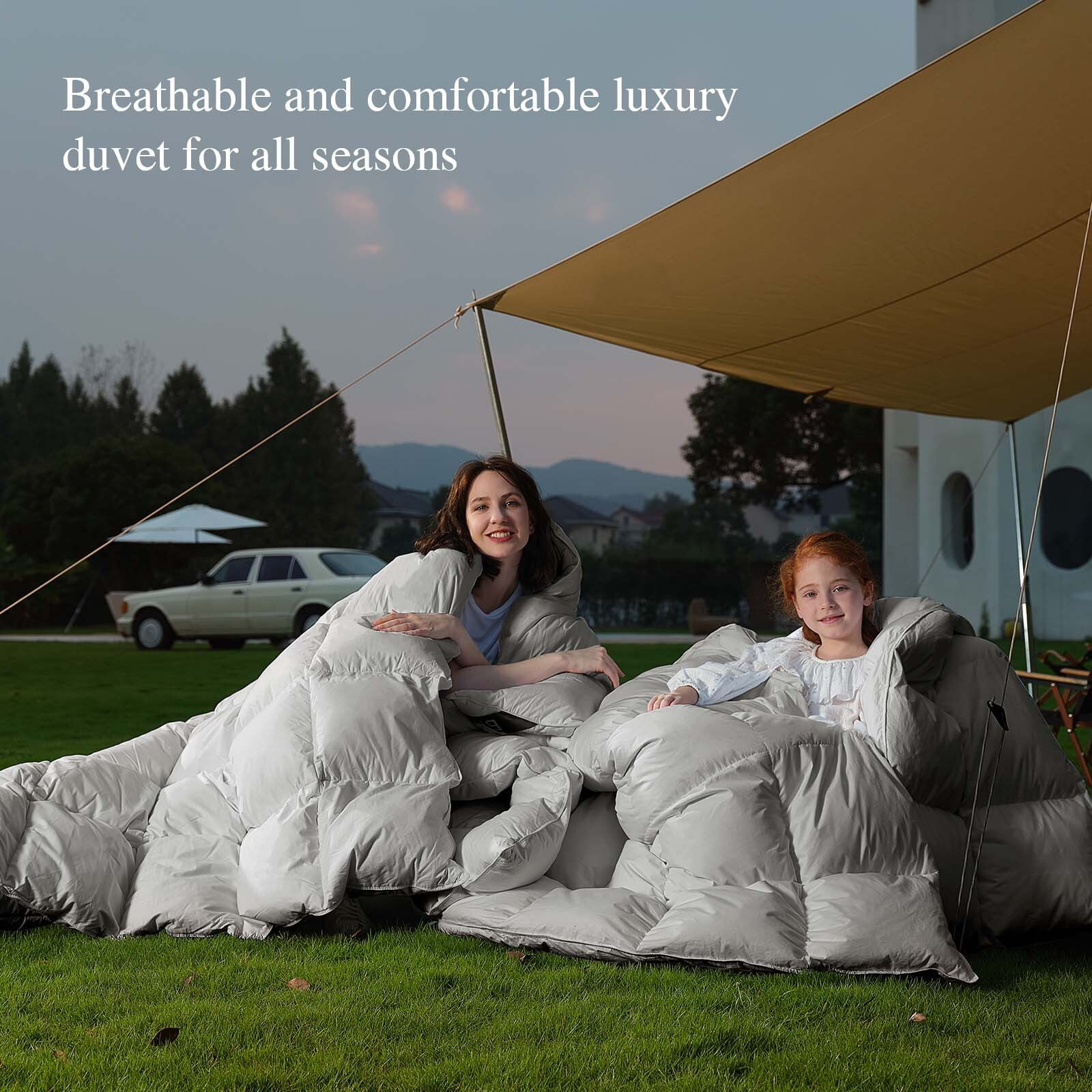 Teler Goose Down Comforter Queen Size, Extra Fluffy White Duvet Insert, Ultra-Soft, Breathable , All Season Hotel Luxury Bedding Comforters, 4 Corner & Center Loops , Light Gray