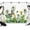 Green, White, Black, variant on 7x5ft Photo Backdrop, Wild Dandelions Soft Polyester Backdrop Curtains Photography Backdrops, Botanical Green Butterfly Meadow Scene Brushed Background for Photoshoots Studio Video Portrait Parties