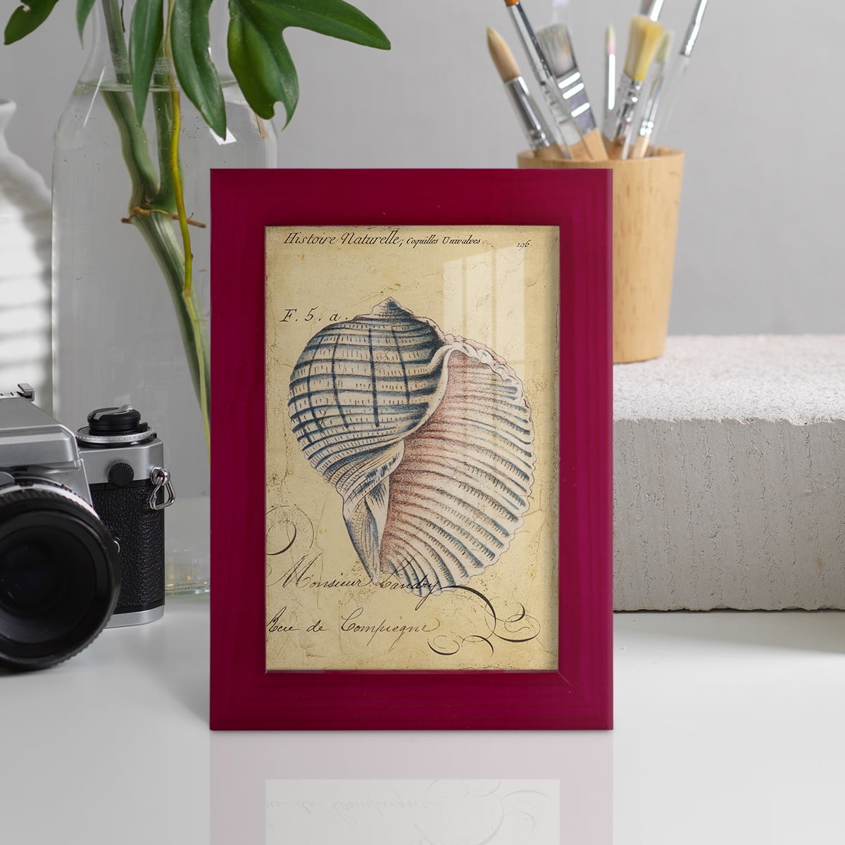 Seashell Ephemera V - Framed Print w/glass - Cherry Red