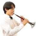 thumbnail image 3 of MIANGASTORE 1 Set Professional Rosewood Wind Instrument for Practice D-key Suona Instrument Random Color, 3 of 9