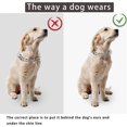 thumbnail image 5 of Uds. (Plata-L) Collar resistente cromado para perros, mascota ajustable, 5 of 5