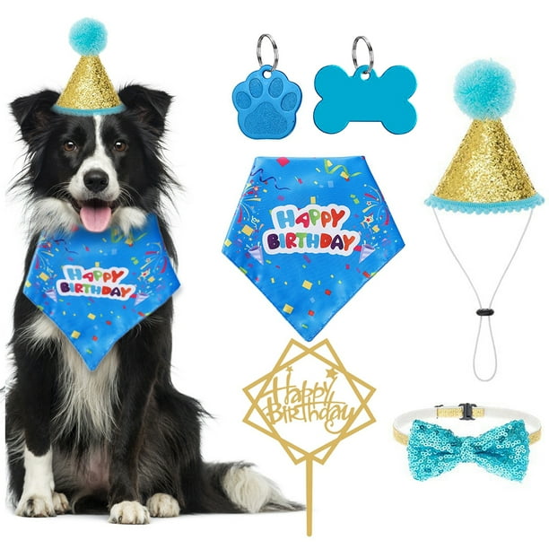 Dog top birthday outfit