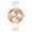 Bronze, variant on SANDA 2022 New Fashion Women's Watches White Rose Gold Waterproof Quartz Watch Women Casual Wristwatch Relogio Feminino 3119