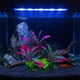 thumbnail image 4 of Plantas Acuáticas De Plástico 1 pieza de algas artificiales, plantas acuáticas de plástico, decoración para peceras y paisajismo de acuarios. JASKFLY, 4 of 8