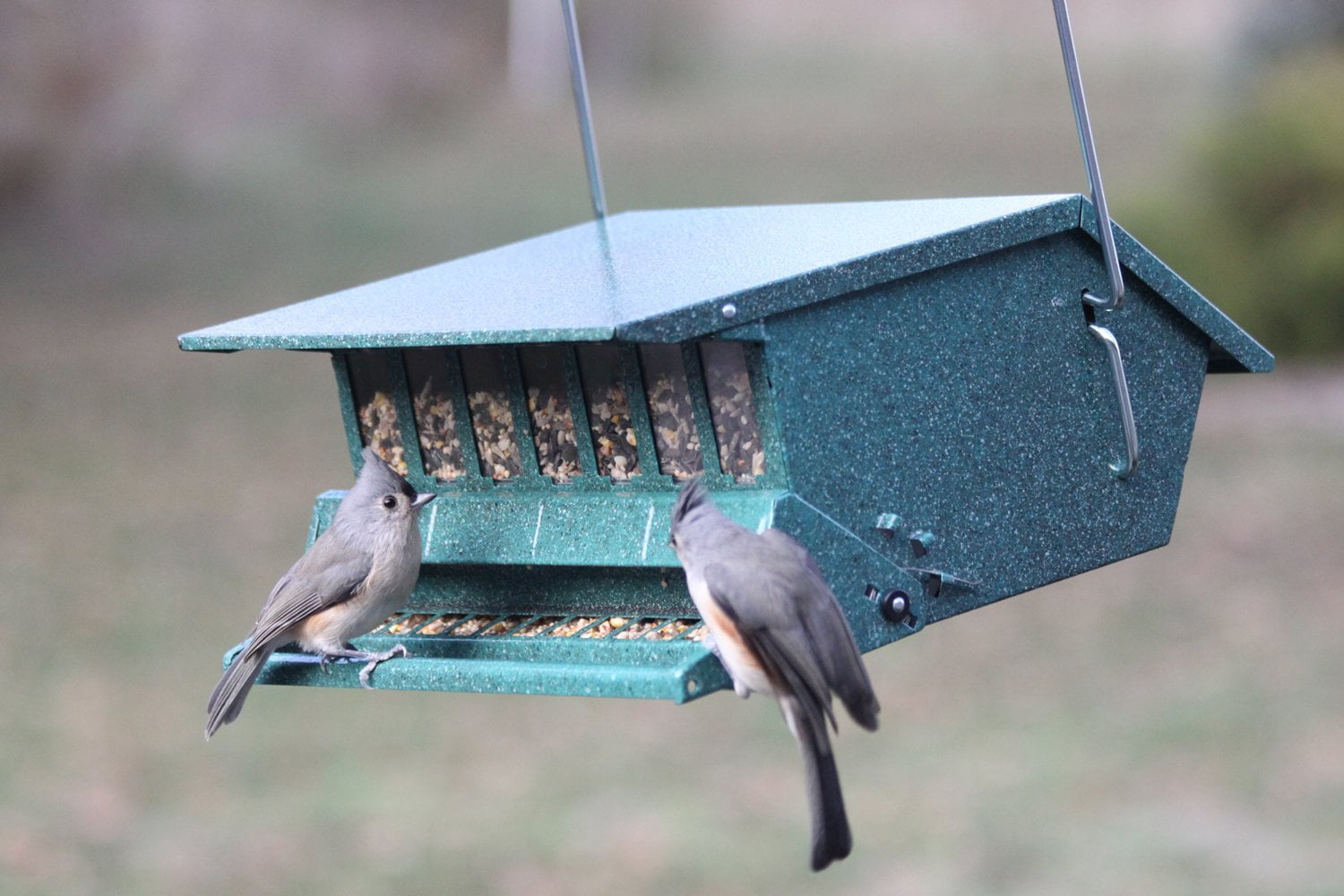 By Heritage Farms 7512 Birds Choice Feeder No Nannydey Com