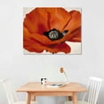 thumbnail image 2 of Nawypu Georgia Totto O'Keeffe Was An American Modernist Painter And Draftswoman ，RED POPPY，Abstract Art Pos Gifts Canvas Painting Poster Wall Art Decorative Picture Prints Modern Decor Framed, 2 of 6