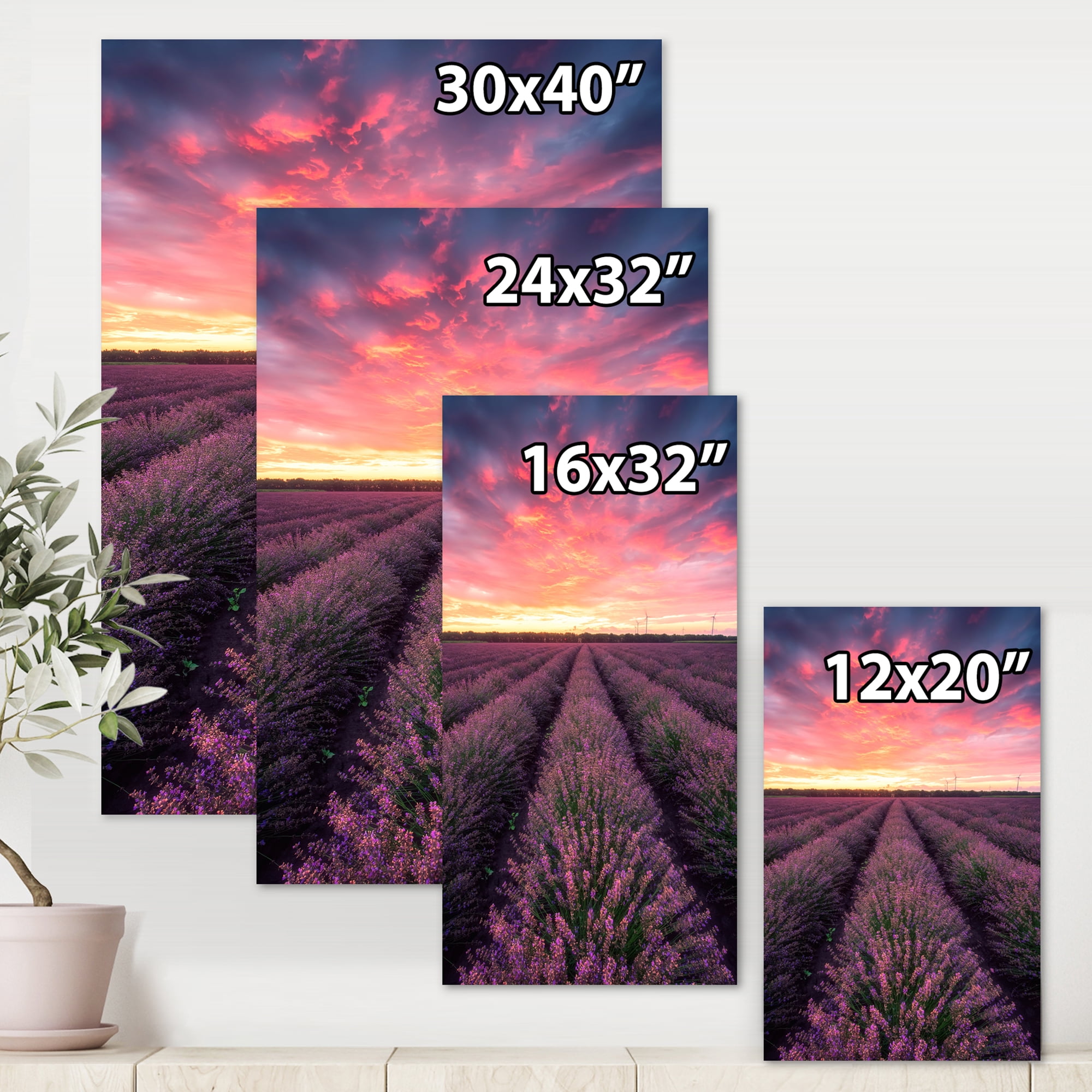 Dramatic Clouds and Sunrise Over Lavender Field XIV 8 in x 12 in Photography Canvas Art Print, by Designart