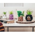thumbnail image 6 of Harry Potter Knight Bus 3-Inch Ceramic Mini Planter With Artificial Succulent, 6 of 7