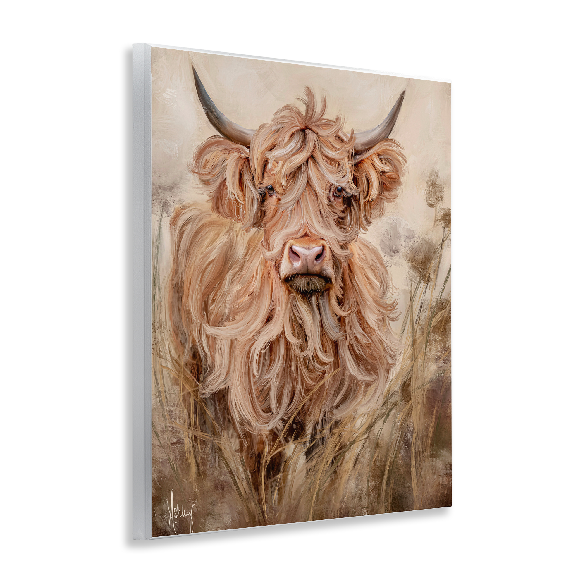 Curly Haired Highland Cattle Wall Plaque Art, design by Ashley Bradley