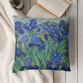 thumbnail image 3 of YINGXI Van Gogh Iris Flower Throw Pillow Cover Case for Couch Sofa Bed Home Decor 20x20in, 3 of 5