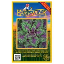 Everwilde Farms - 500 Red Russian Kale Seeds - Gold Vault Jumbo Bulk Seed Packet