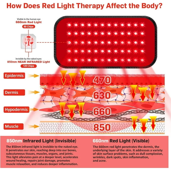 New Red Light Belt - Body and Muscle Relaxation with Infrared Light Home Use Buckle Adjustable