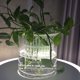 thumbnail image 4 of unbranded 50Ud Contenedores Plásticos Con Malla Para Plantas Cultivo Interior Y Exterior, 4 of 8