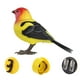 thumbnail image 1 of Robot Bird Electronic Bird Toy Juguete de Desarrollo Movimientos Realistas Figura de Juguete para Niños Y Niñas tangara, 1 of 10