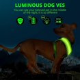 thumbnail image 4 of LED Dog Harness, USB Rechargeable Dog Vest Luminous + Reflective Design, Adjustable Dog Safety Harness with Padded, Lightweight Collar for Dogs, Puppi, 4 of 4