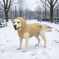 thumbnail image 6 of YYDENG Soft Polyester Dog Hooded Sweater, Warm Leg‑Less Pullover Knit Coat, Cold‑Weather Outfit Indoor Outdoor Cold‑Weather Apparel for Medium and Large Size Dogs, 6 of 8